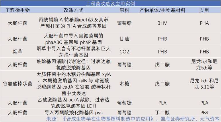 未来新奥原料免费大全,探索与预测,2025年的新篇章