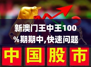 新澳门王中王100%期期中,精选解释解析落实